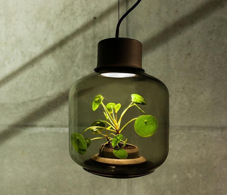 led-växt-lampa-hängande-lampa-krukväxt-grön-liten-kruka-mörkt glas