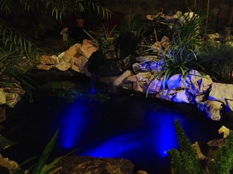 damm-belysning-led-blå-ljus-effekt-färg-förändring-dammar-stenar