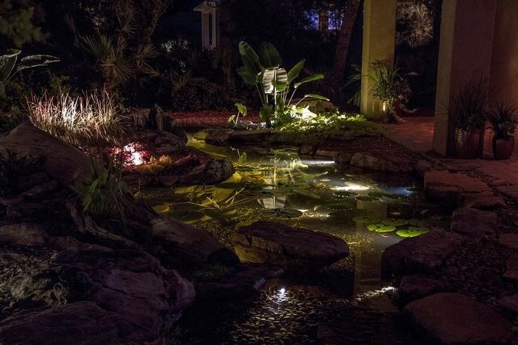 damm-belysning-led-under-utom-vatten-trädgård-kväll-växter-liljekuddar