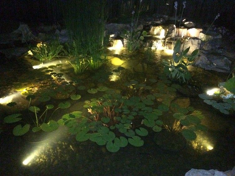 damm-belysning-led-undervattens-spotlights-vatten-lilja-blad-växter