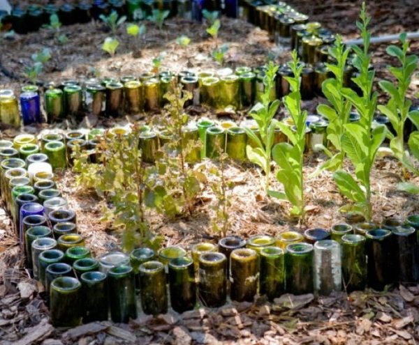 vinflaskor trädgård använda gränsen blomsterbädd avgränsning idé