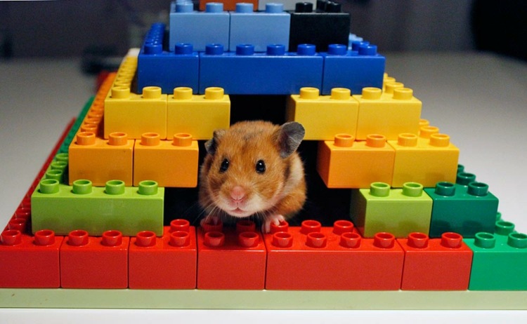 Hantverksidéer-lego-sällskapsdjur-tillbehör-pyramid-hamster-hus-gnagare
