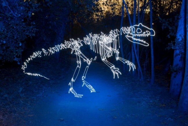 dinosaurie konstinstallationsljus av darren pearson