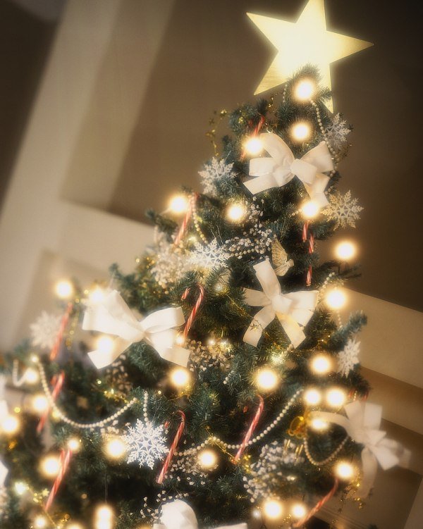 Julprydnader-ljus bågar-band fairy lights lyser trådlöst