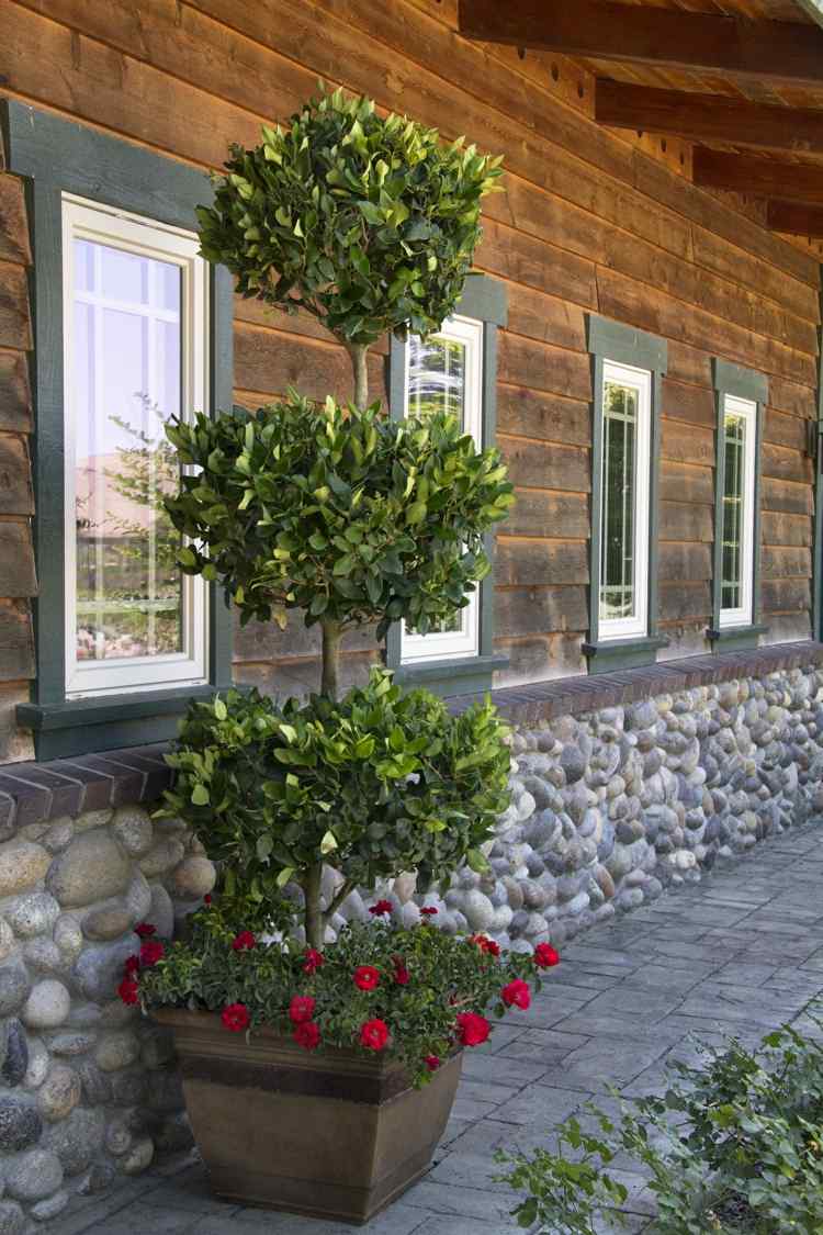 växter-ligusterhäck-träd-planter-fasad-trä-sten-alpint