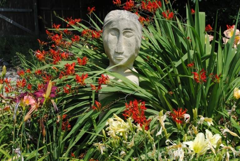 Lily-trädgård-blommor-vit-exotisk-trädgård