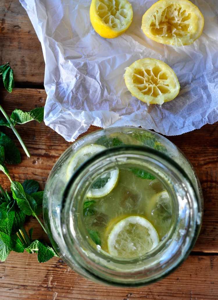 citron-mynta-limonadkaraffel
