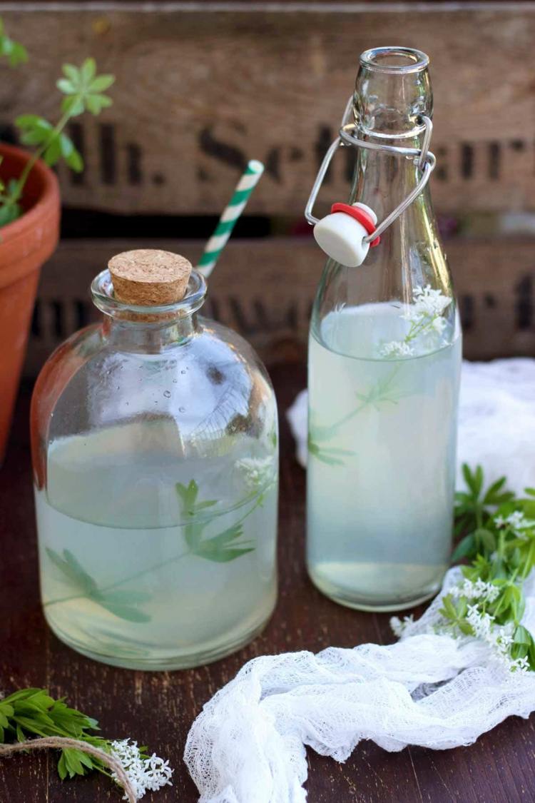 waldmeister-växt-flaska-limonad