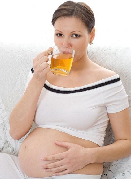 Lipton -tee raskauden aikana 3
