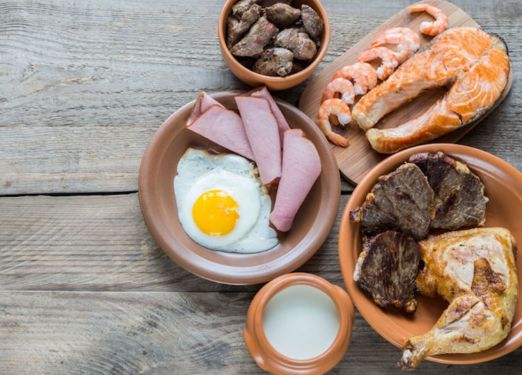 Lågkolhydratkost köttprotein