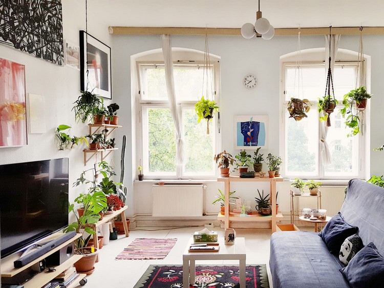 Använd växter för att reglera luftfuktigheten i vardagsrummet