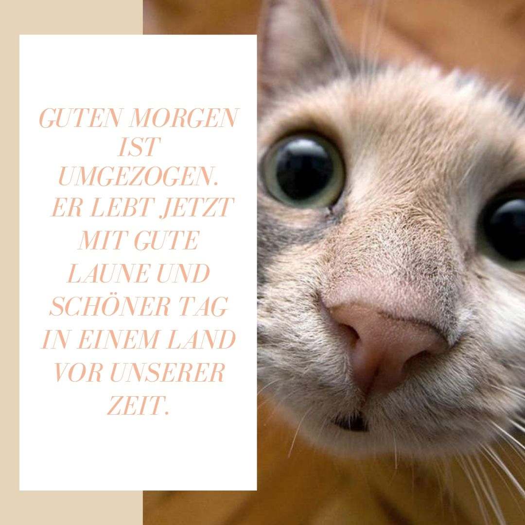 God morgon har flyttat med gott humör och vacker dag