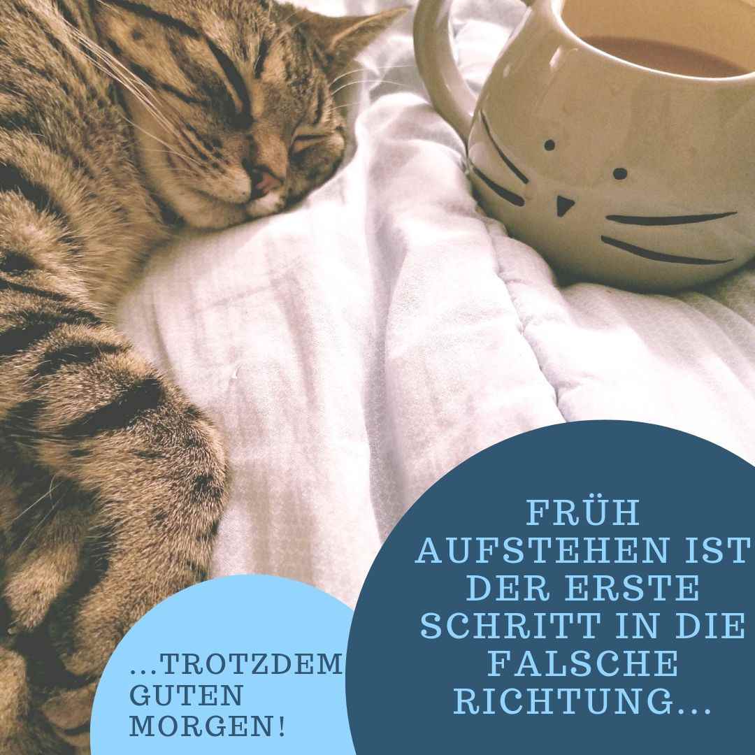 Det första steget i fel riktning är att gå upp tidigt - sova katt med kaffekopp