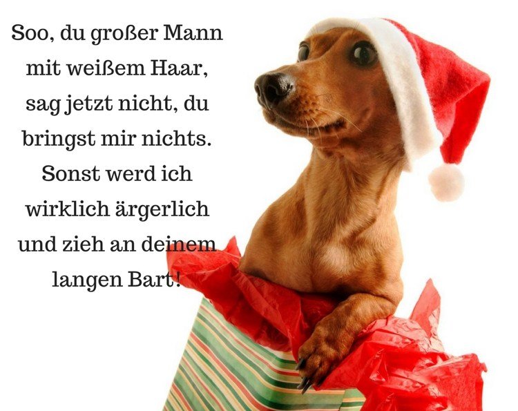 skriva ut roliga julkort ordspråk wirzig hund