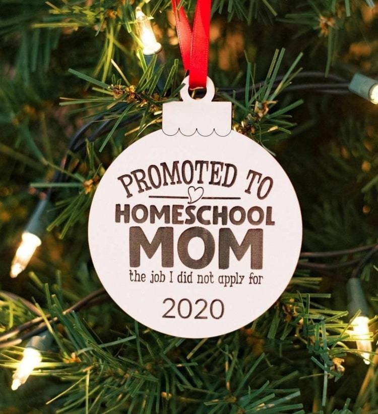 Jobbet jag inte sökte - Homeschool Mama 2020