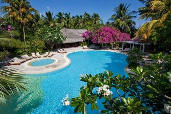 Bungalows i Maldiverna resmål destination dröm hotell växter