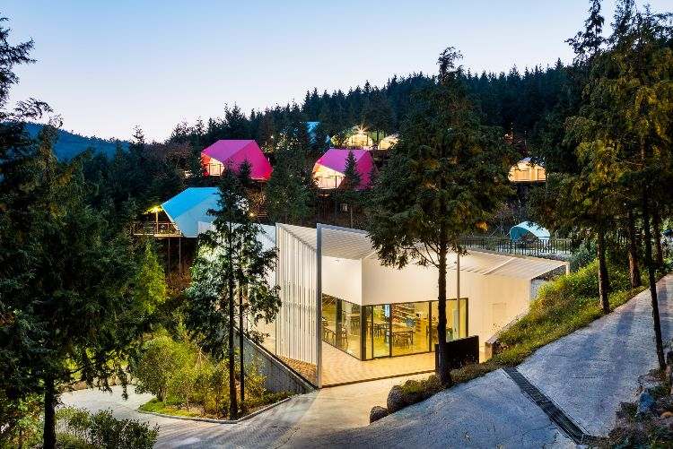 lyxcamping glamping sydkorea arkitektur skog design resort resort restaurang byggnad visa tält