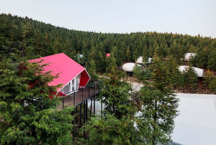lyxcamping glamping sydkorea arkitektur skog design resort resort bungalows bergskog