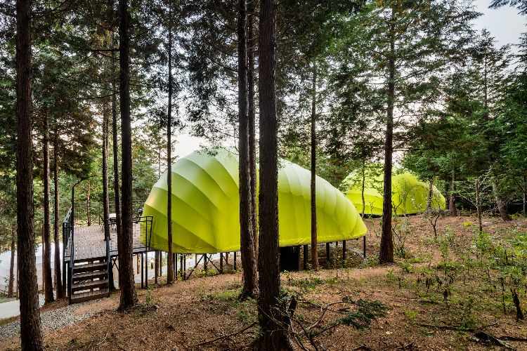 lyxcamping glamping sydkorea arkitektur skog design resort resort berg skog tält limegrönt