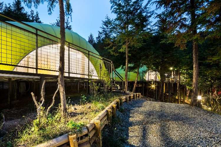 lyxcamping glamping sydkorea arkitektur skog design resort resort trottoar skogstält limegrönt