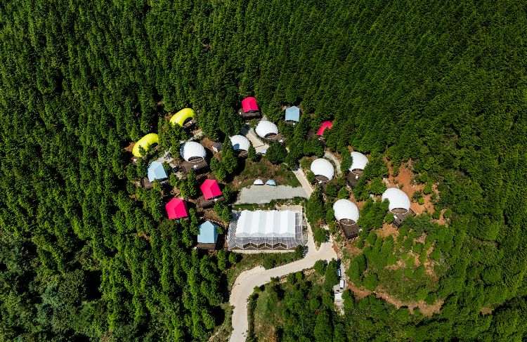 lyxcamping glamping sydkorea arkitektur skog design resort resort bungalows berg skog fågel utsikt