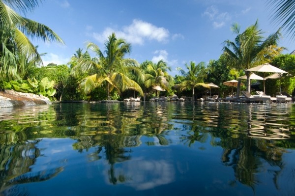 maldiverna exotiska träd lyx resort iruvili privat ö