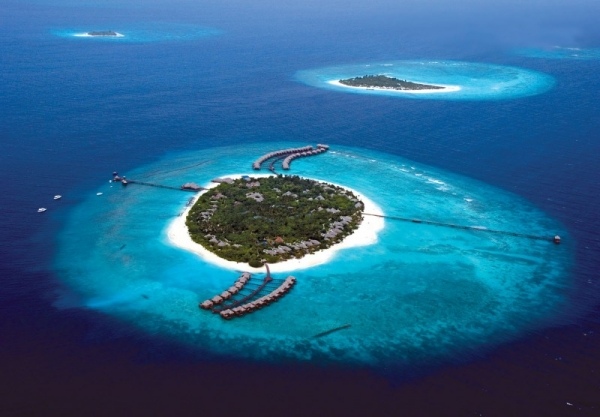 haa alif privat ö trendig lyxig resort iruveli maldiverna