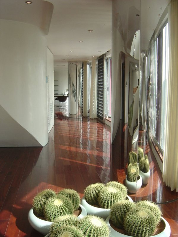 Kaktus-dekoration-lägenhet-Beejing