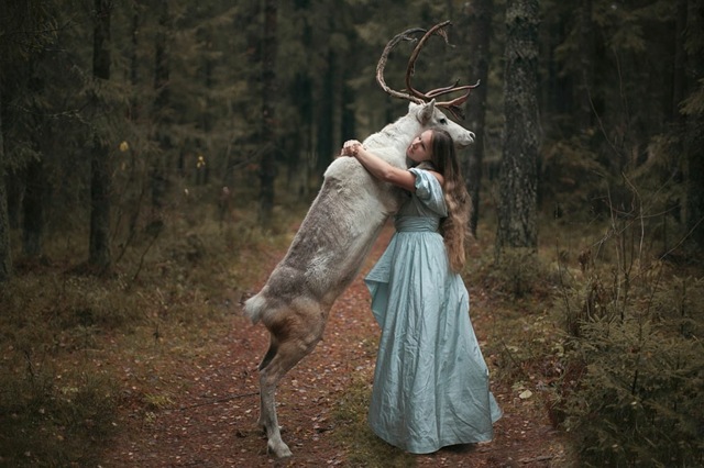 vit-älg-kramar-tjej-gå-i-skogen