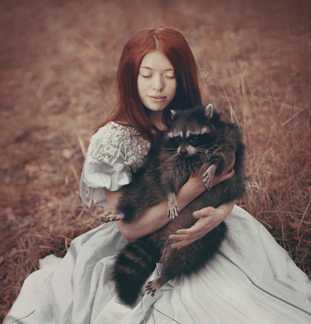 Raccoon-on-Your-Lap Plotnikova-projektet