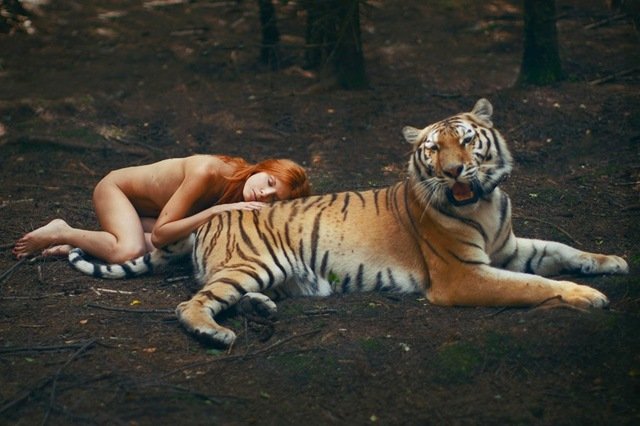 Tiger-med-naken-modell-i-skogen