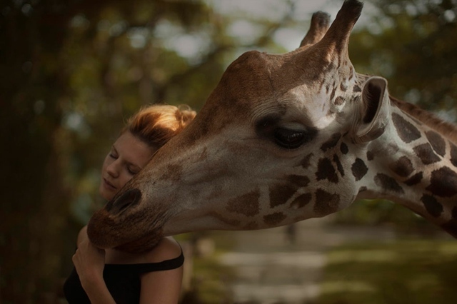 Giraff-och-kvinna-i-parken
