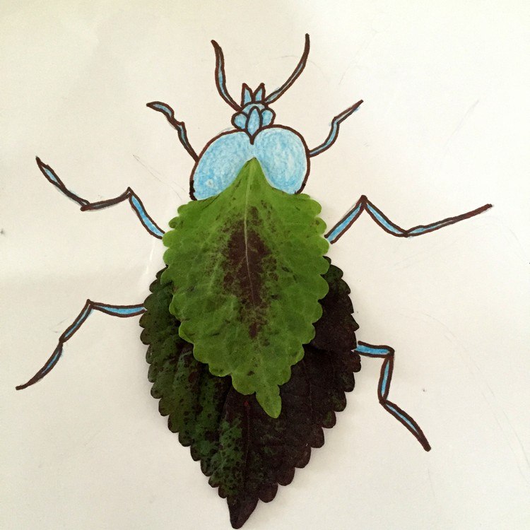 cockchafer-tinker-paint-barn-blad