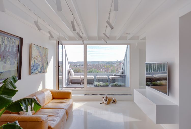duplex galleri lägenhet med takhöjd modern designmöbel soffa tv hund balkong balkong