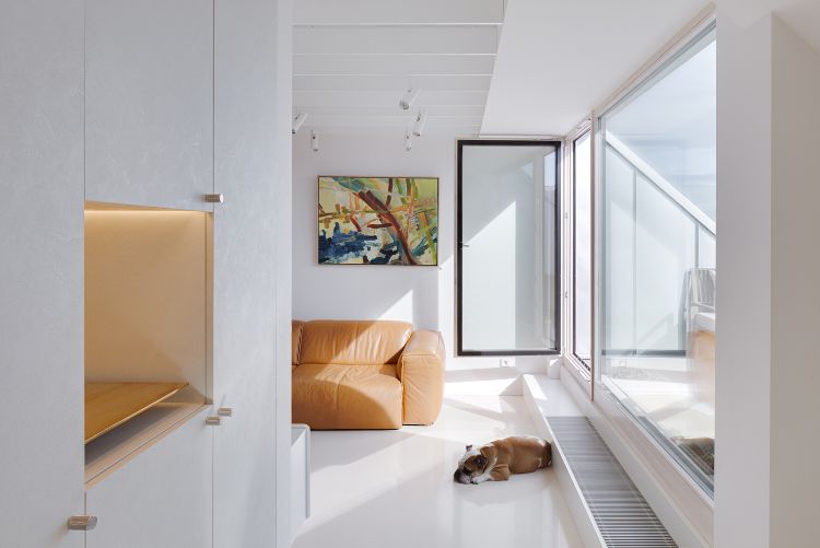 duplex galleri lägenhet sluttande lägenhet modern designmöbler soffa prestationer tv hund balkong glasdörr