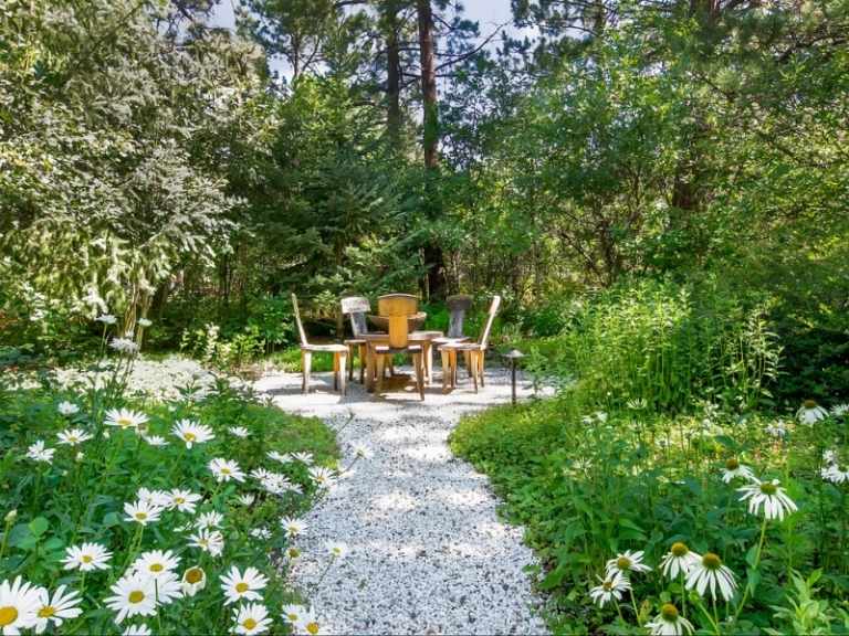 Prästkragar i trädgården designidéer grusväg