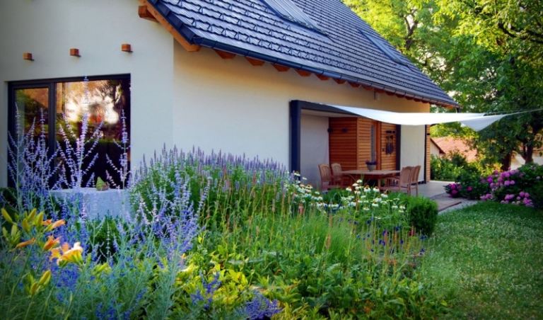 Marguerites-in-the-garden-house-front yard-design