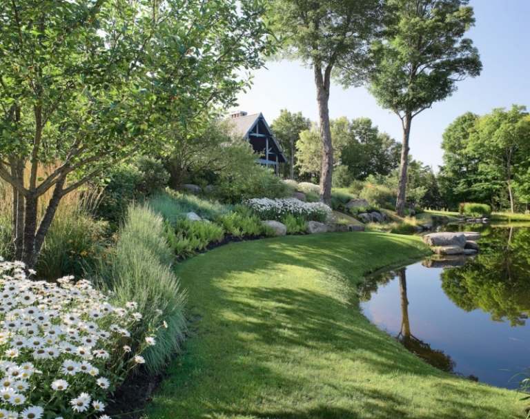 Margueriter-i-trädgården-trädgård-damm-gräsmatta