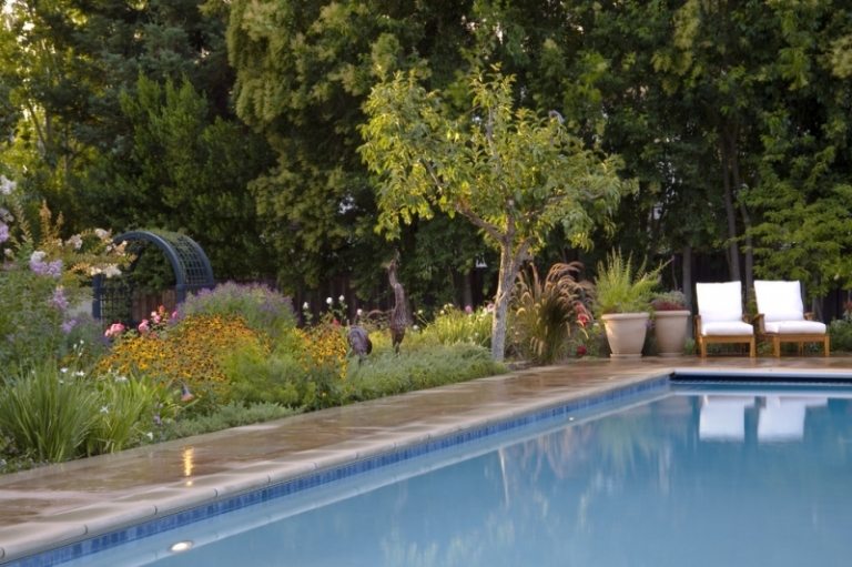 Margueriter-i-trädgården-gul-pool-kant