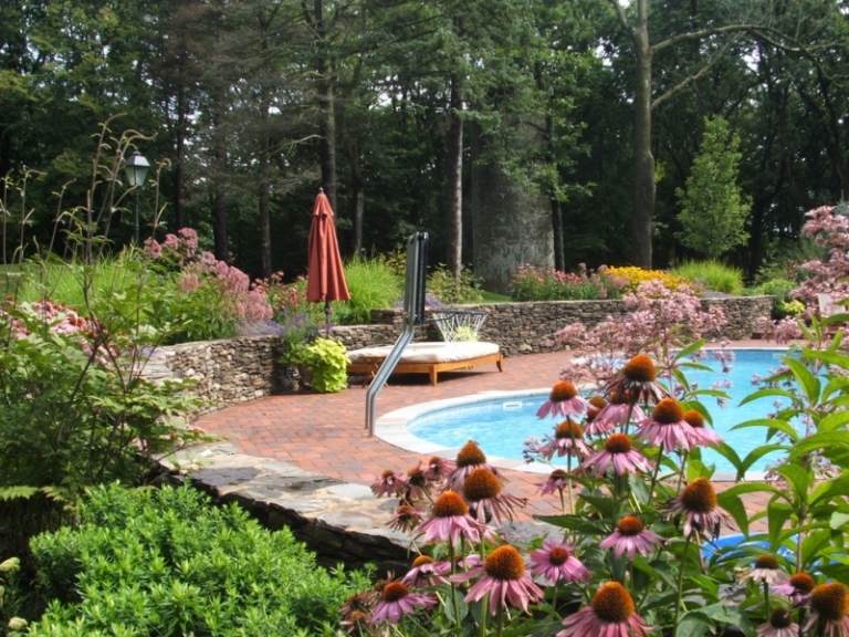 Tusenskönor-i-trädgården-rosa-pool-kant-sten-vägg
