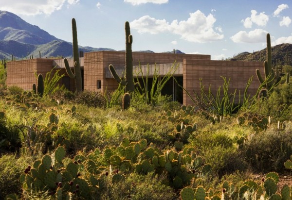 Fast hus ökenkaktusar Arizona arkitektur