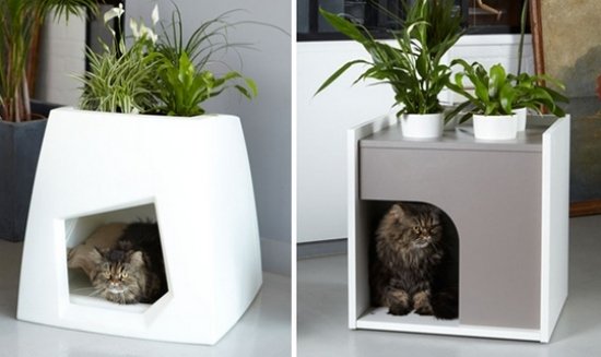 garderob blomkruka idéer för sällskapsdjur möbler