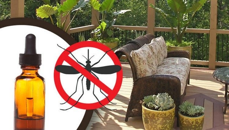 Hur man kämpar och blir av med mygg på terrassen