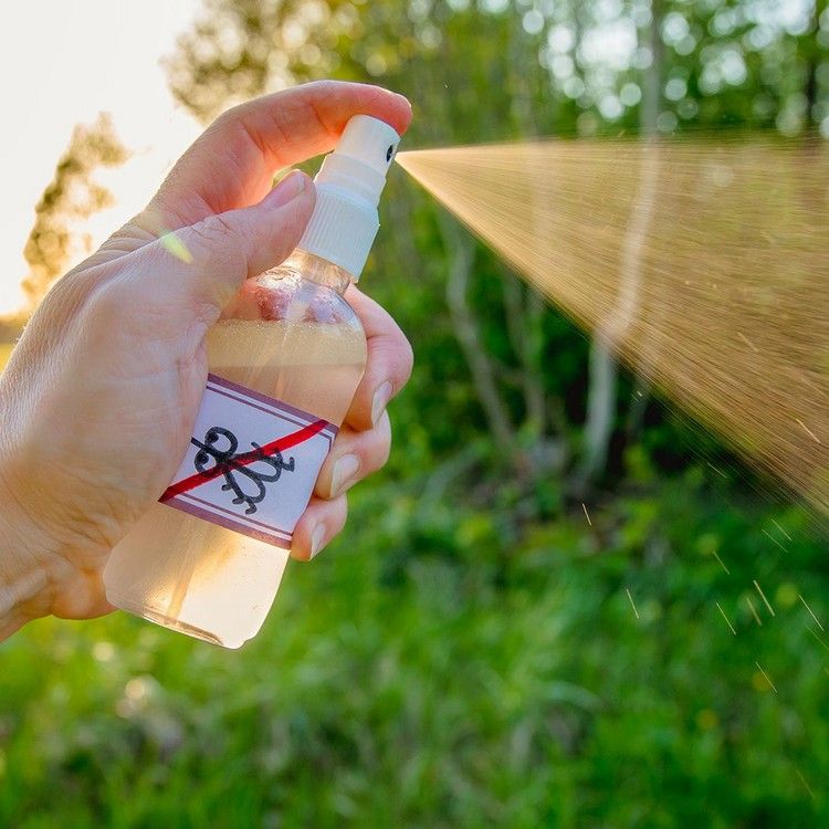 Myggavstötande medel Vitlökvatten i en sprayflaska