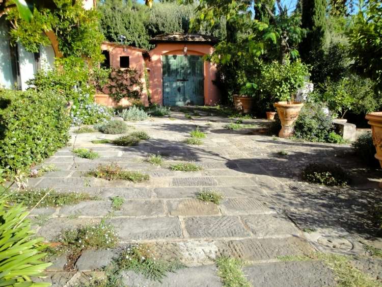Medelhavet-trädgård-design-gamla-rustika-växt-krukor-buskar-träd-vägg-trottoar
