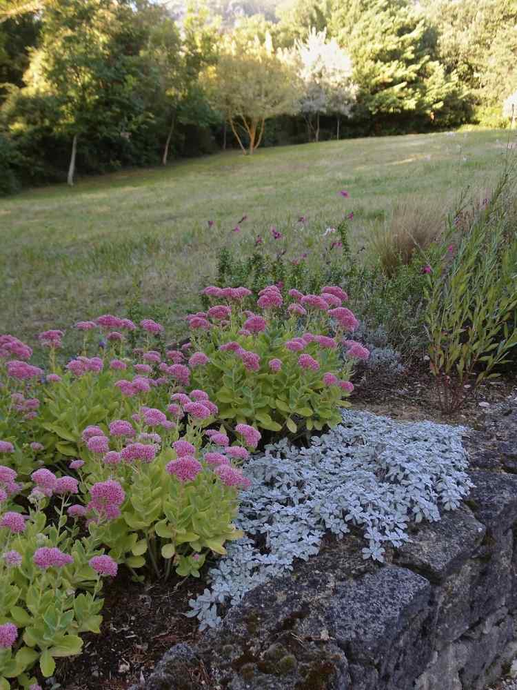 Medelhavet-trädgård-design-blommor-växter-mark-täck-gräsmatta-vägg-träd