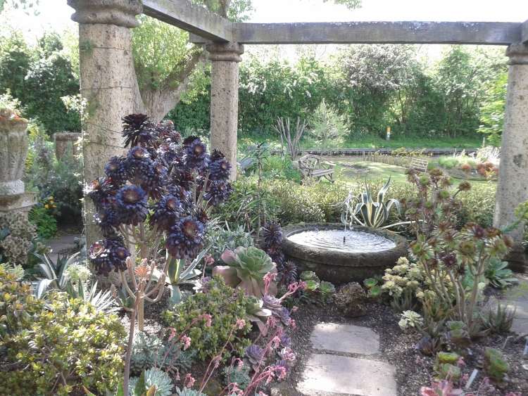 Medelhavet-trädgård-design-fontän-väg-antik-pelare-växter-vatten-agave-huseleek