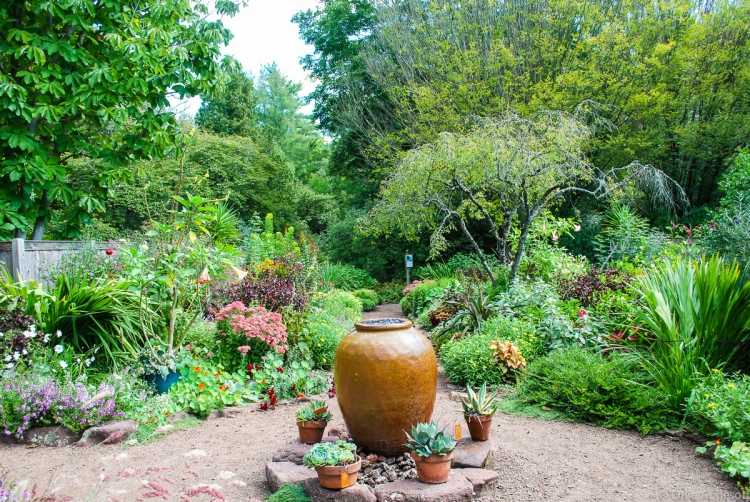 Medelhavet-trädgård-design-trädgård-kanna-i mitten-planter-blomma-botten plug-fig-grus