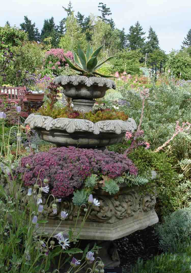 Medelhavet-trädgård-design-fågel-väl-tomma-växter-agave-huseleek-blommor-trädgård-dekoration
