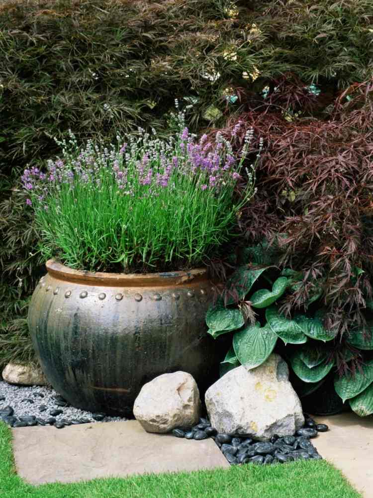 Medelhavet-trädgård-design-lavendel-kuebel-sten-gräsmatta-trottoar-buskar